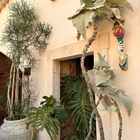 Apartment Special In *