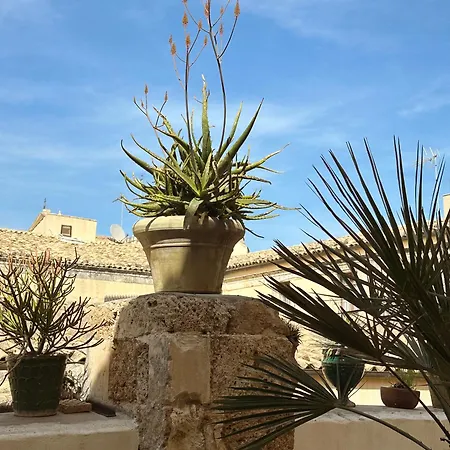 Special In Noto